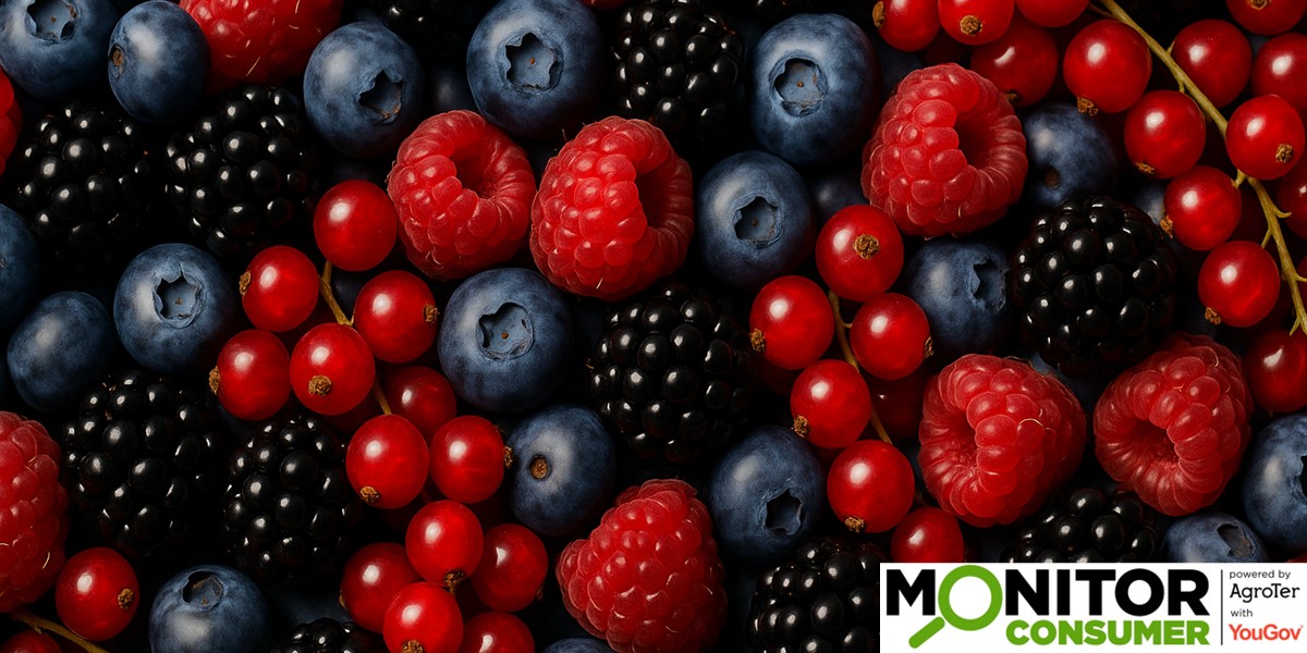 Frutti di bosco: una categoria sempre più amata dagli italiani